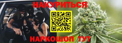 гидропоника Кингисепп