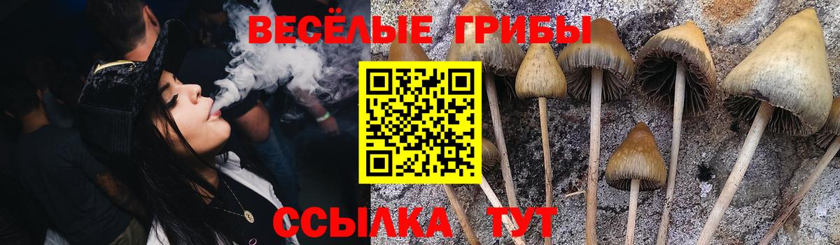 Псилоцибиновые грибы мицелий  Галлюциногенные грибы MAGIC MUSHROOMS  Озёрск  Вход с VPN 